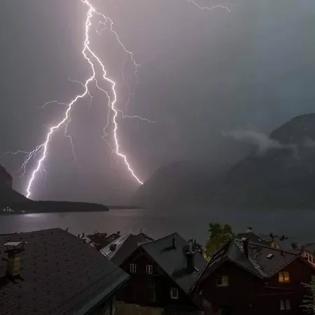 Daire Buergermeister