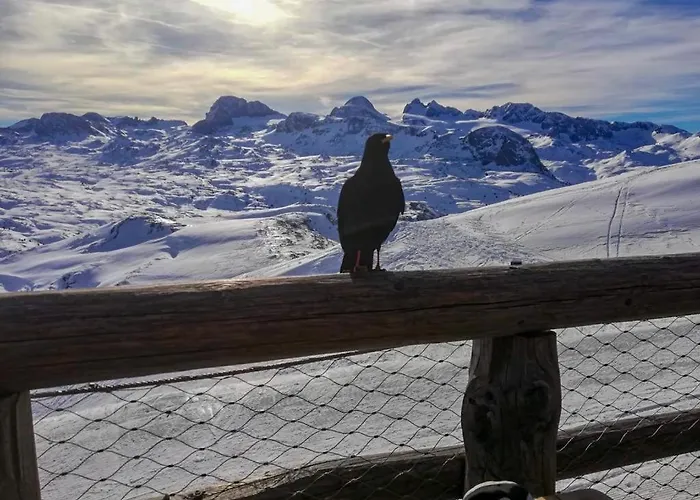 Buergermeister Διαμέρισμα