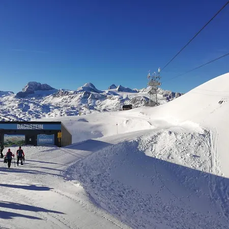 Daire Buergermeister *