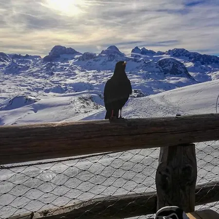 Buergermeister アパート