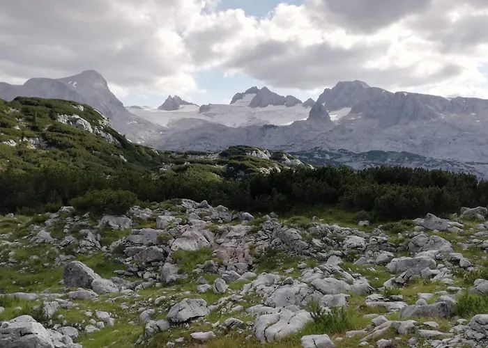 Buergermeister Daire *