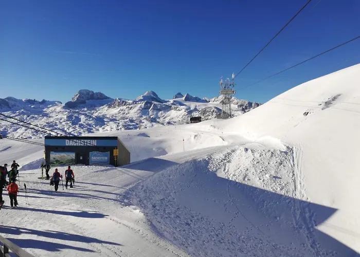 Daire Buergermeister *